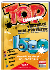 Création de la couverture du TOP Economique 2011 Midi Pyrénées - Claudine Defeuillet, graphiste designer, pour COCO and Co