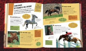 L'encyclopédie du cheval et du poney - 116-117