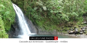 Guadeloupe cascade aux écrevisses
